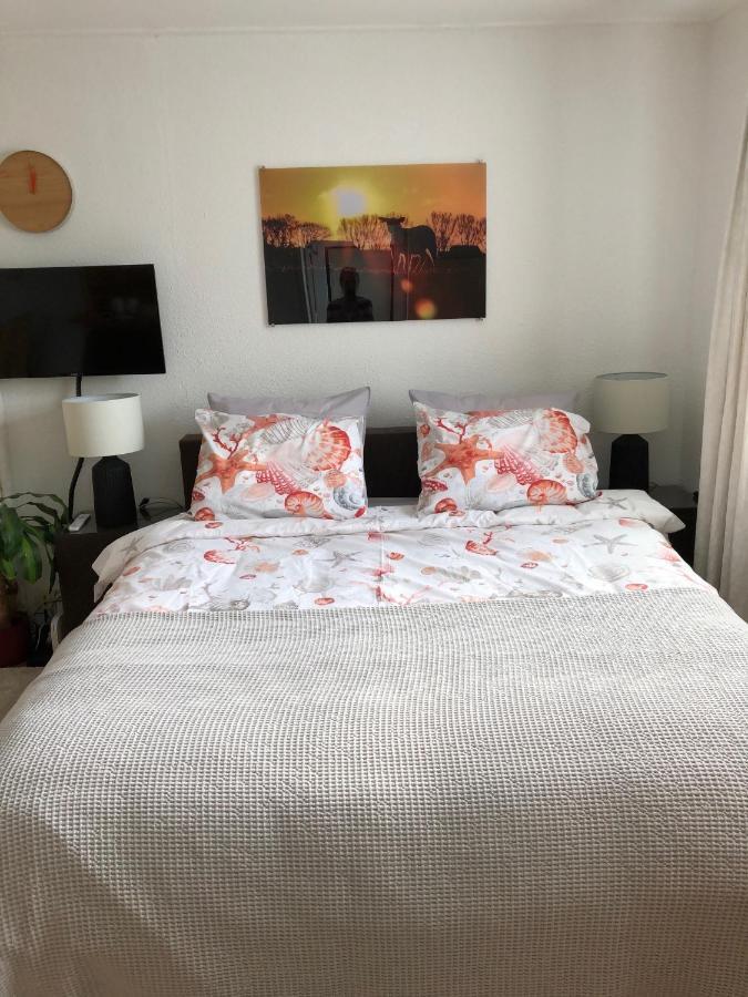 De Vier Berken 1 Apartman De Koog  Kültér fotó